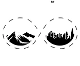 Logo Anniversary 55